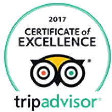Certificate of Excellence