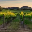 HazelWorcestershire