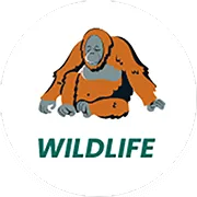 Wildlife