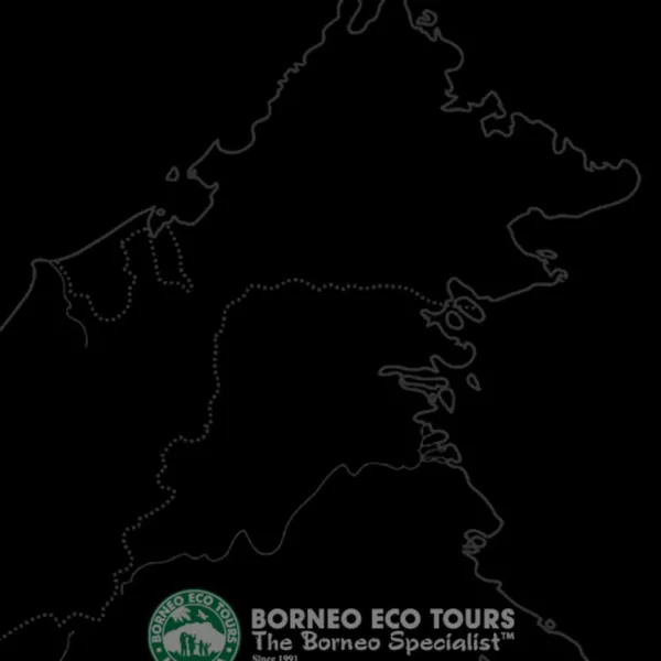 Borneo Through the Lens: Birding and Wildlife Photography Expedition - Day 1