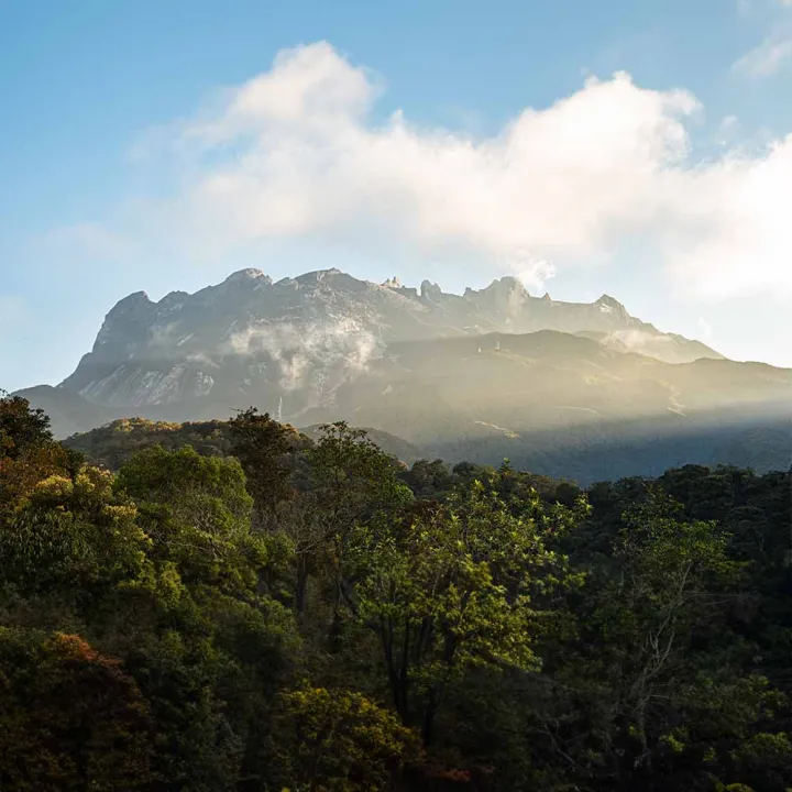 Kinabalu Park Safari