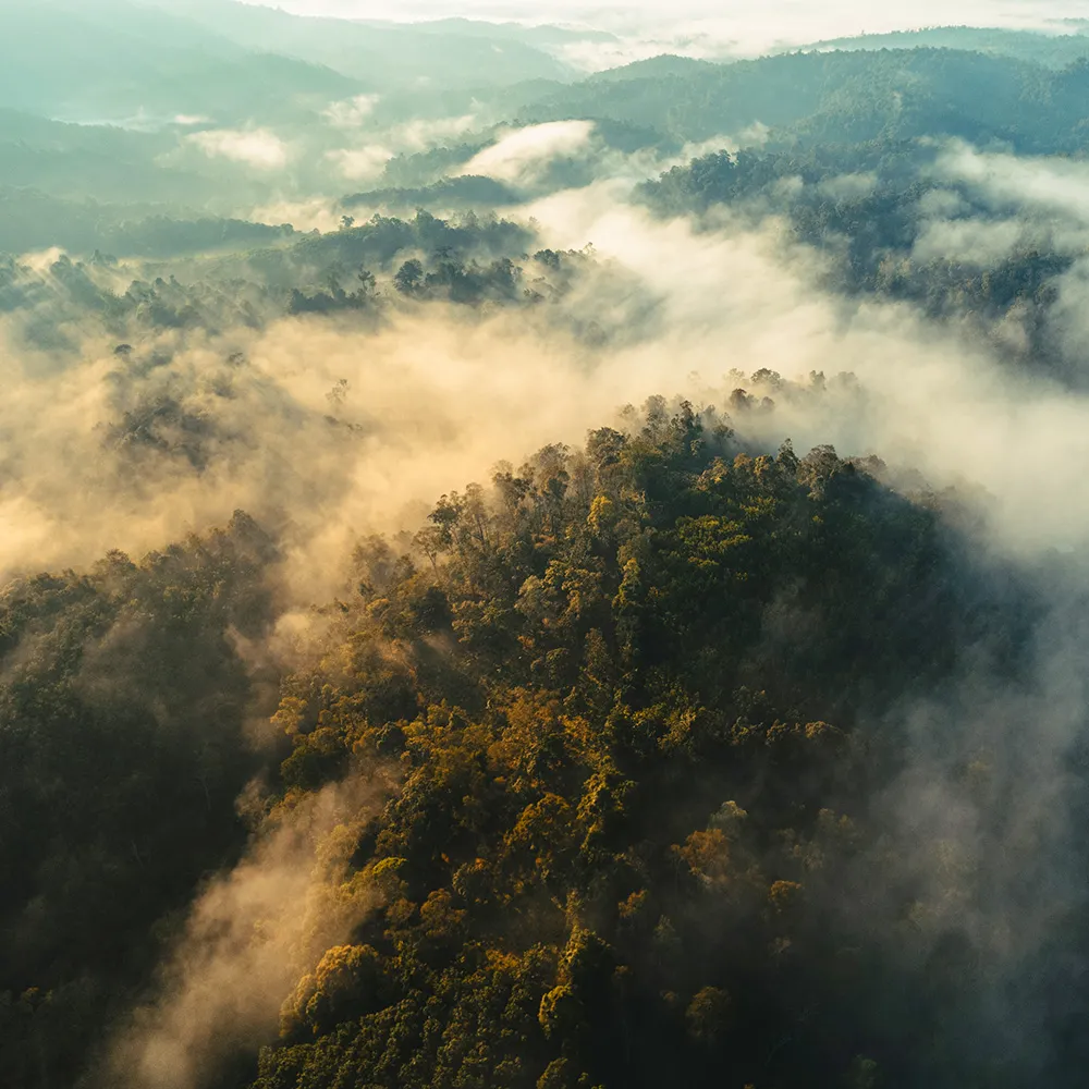 Maliau Basin Trek