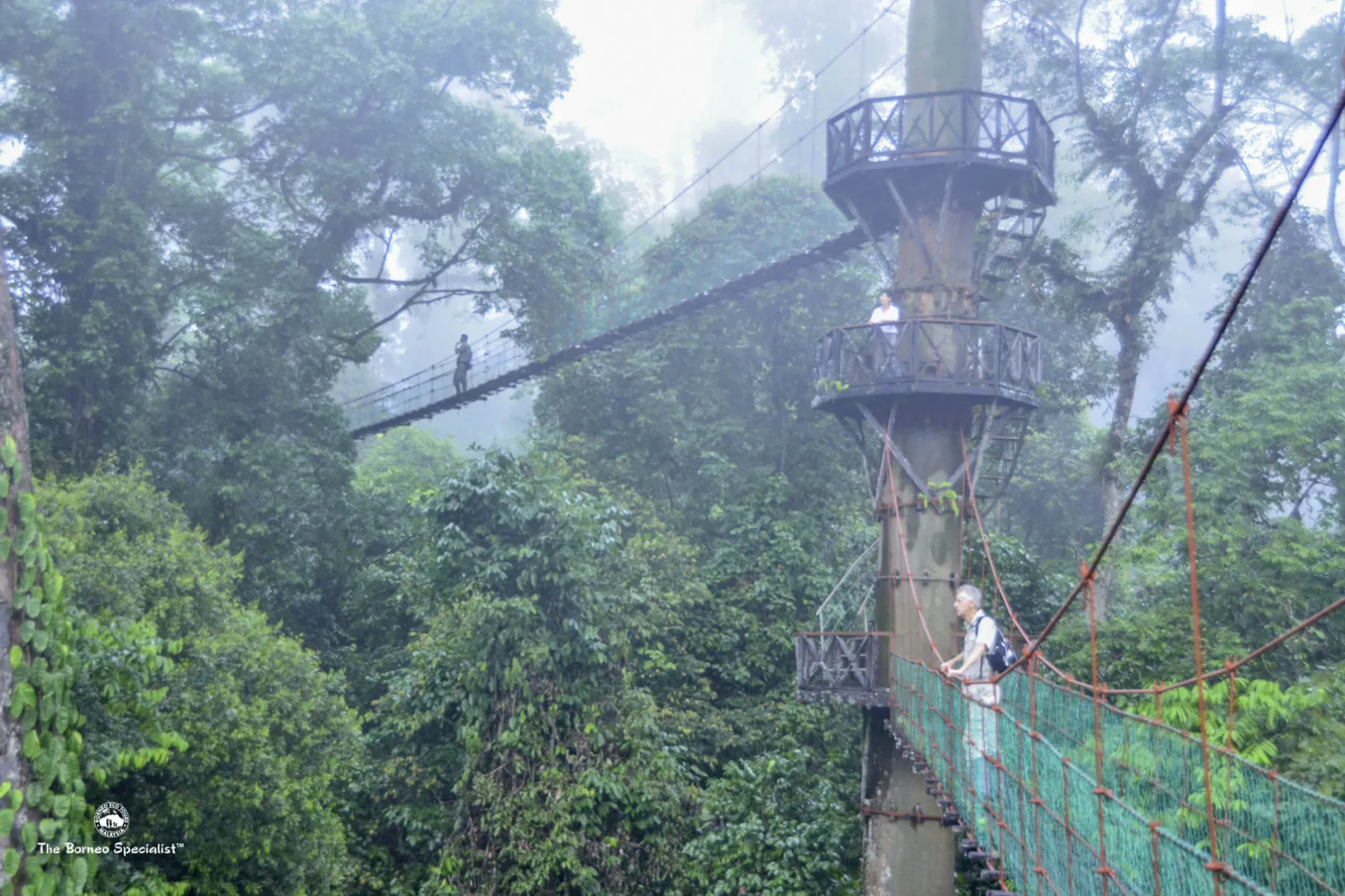 Borneo Rainforest Lodge canopy walkway