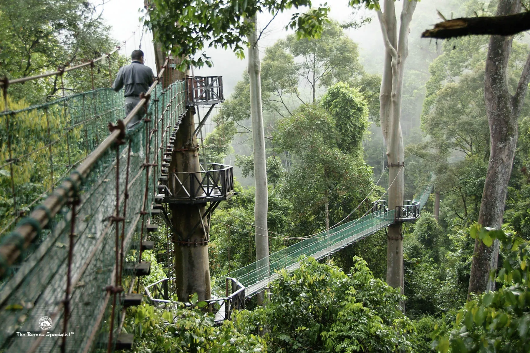 canopy skyway