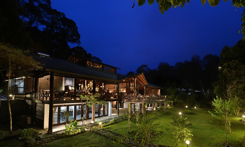 Luxurious Rainforest Getaway