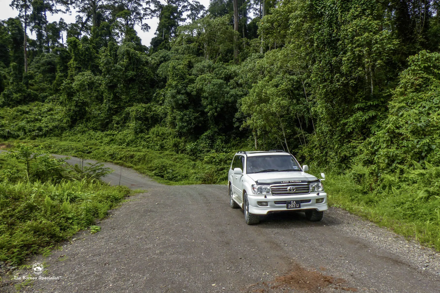 Private transfer to Borneo Rainforest Lodge