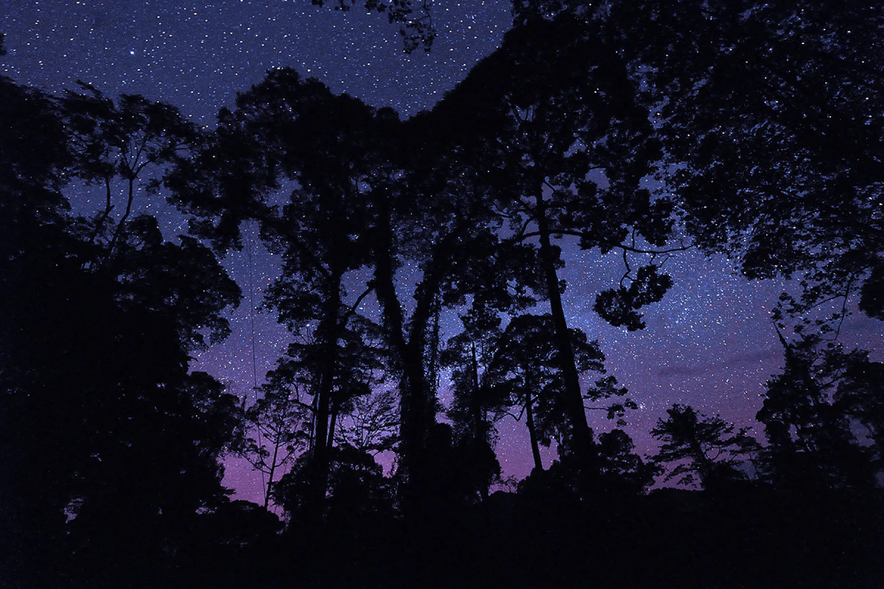 Night sky