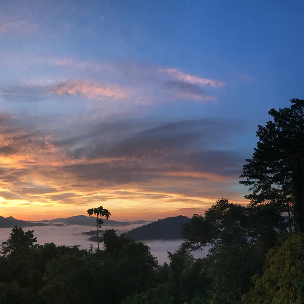 Top Attractions - Danum Valley