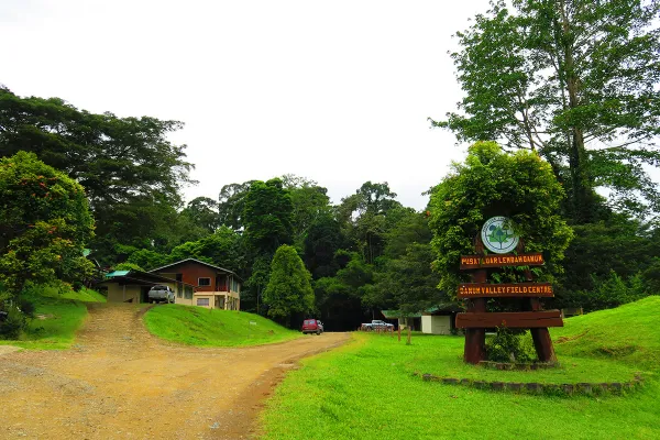 Sukau - Danum Valley Field Centre - Day 5