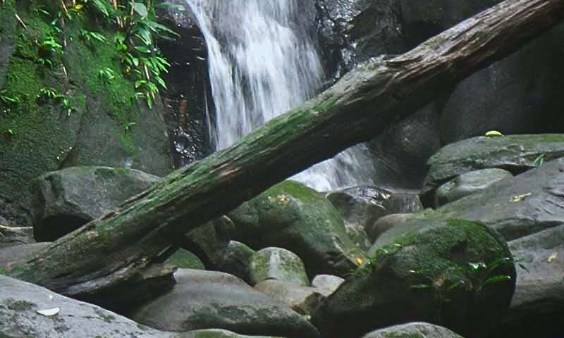 Visit a Mini Waterfall
