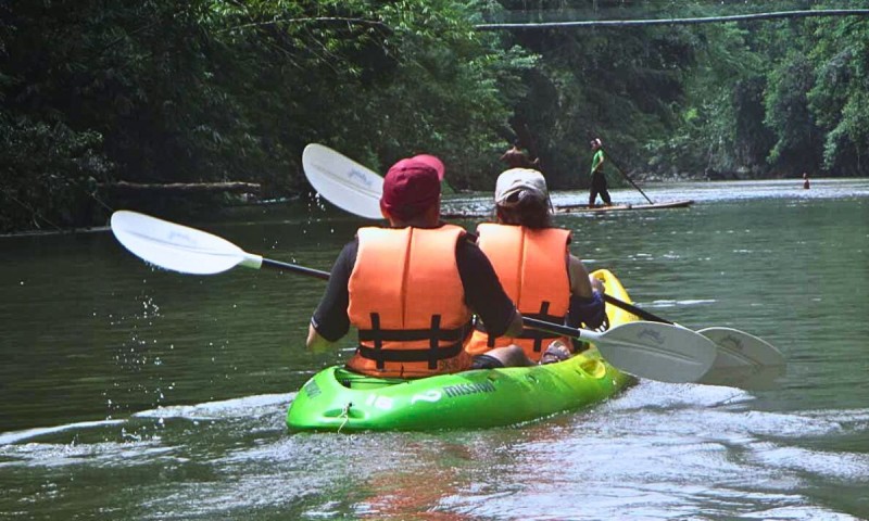 Kayaking in the Rainforest