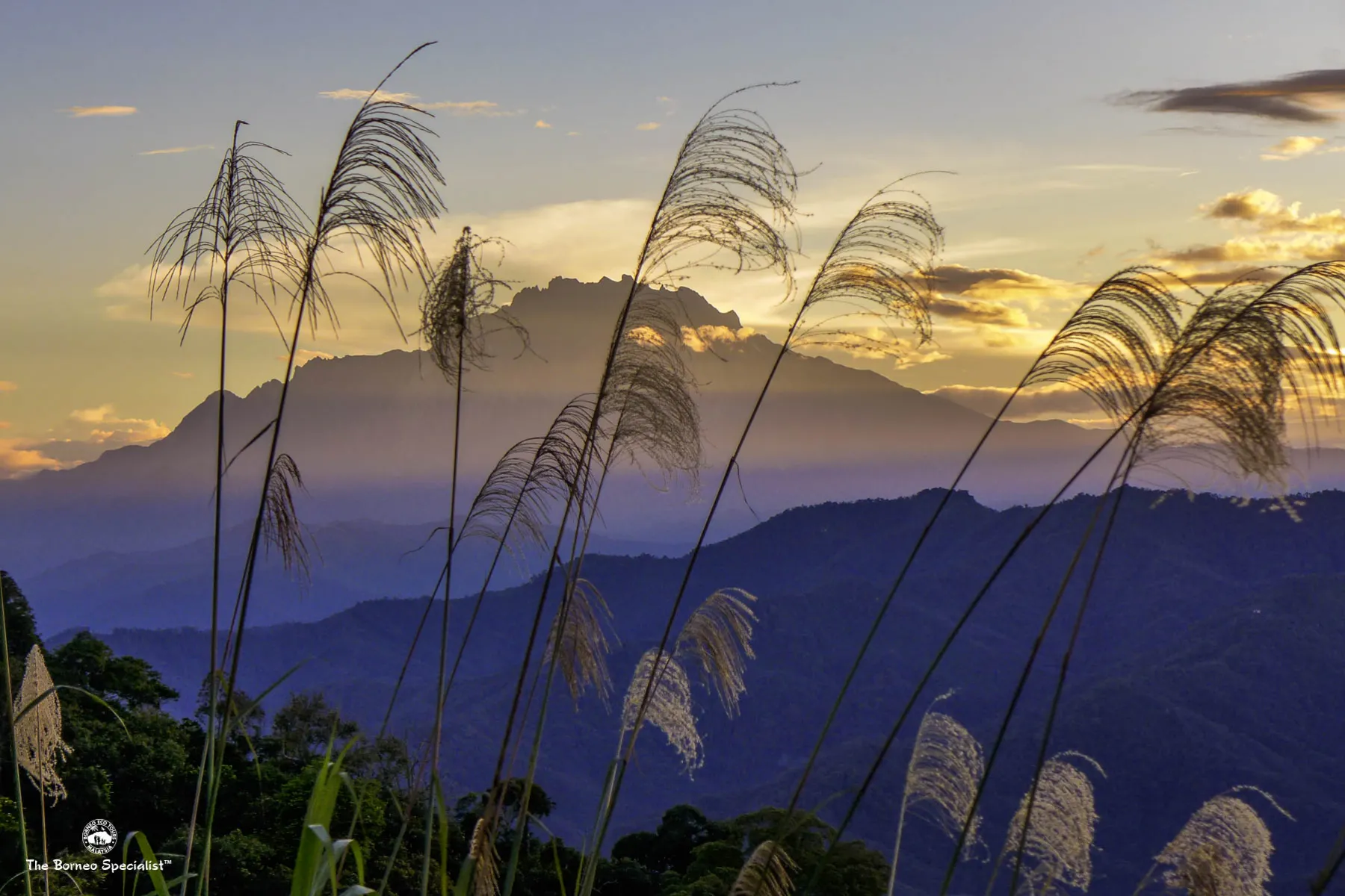 mt-kinabalu-bongol