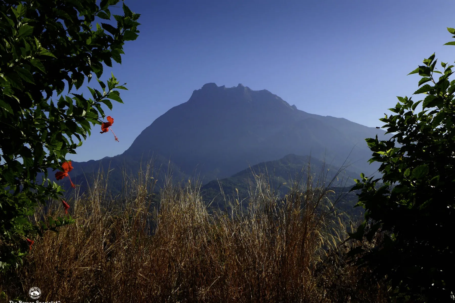 Mt Kinabalu from Pekan Nabalu