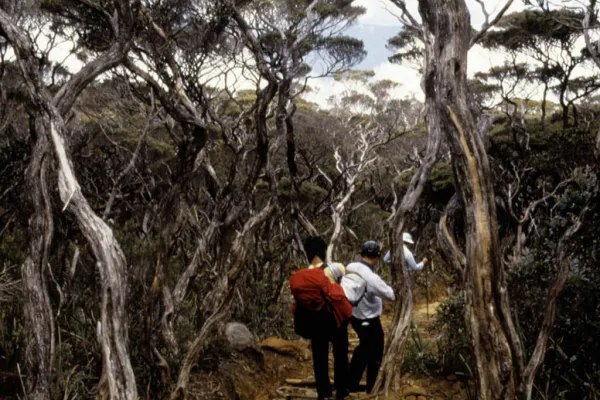 Summit of Kinabalu - Day 2