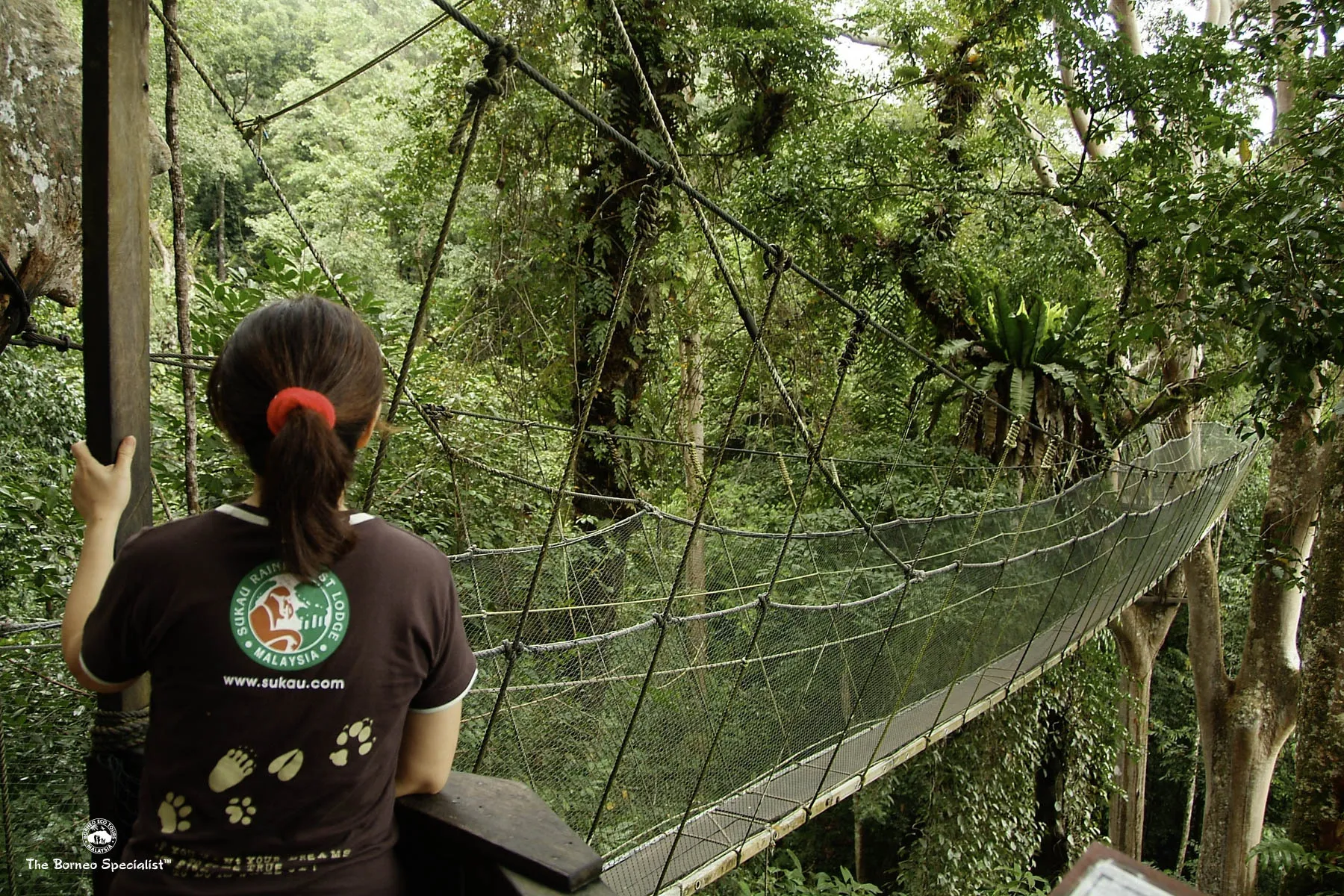 Poring canopy walkway