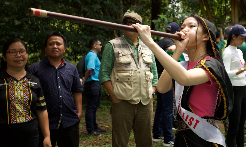 Cultural Immersion