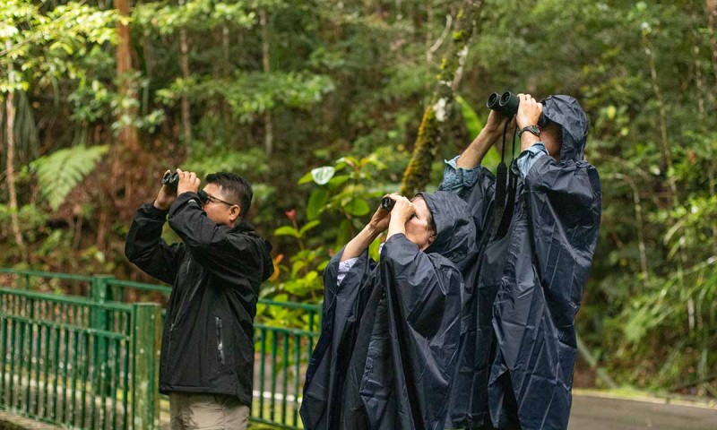 Birding with a Specialist Guide