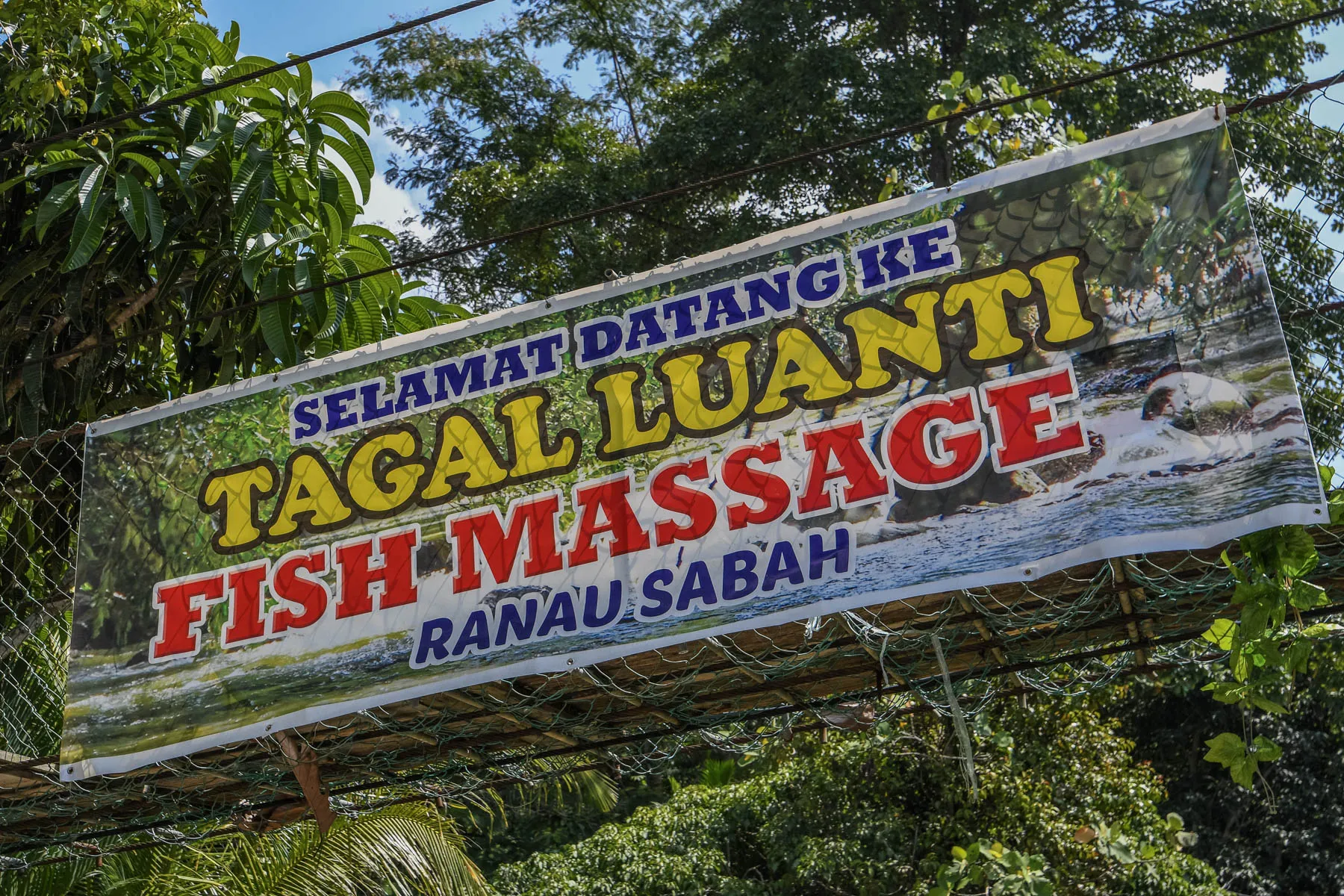 Fish spa, Luanti