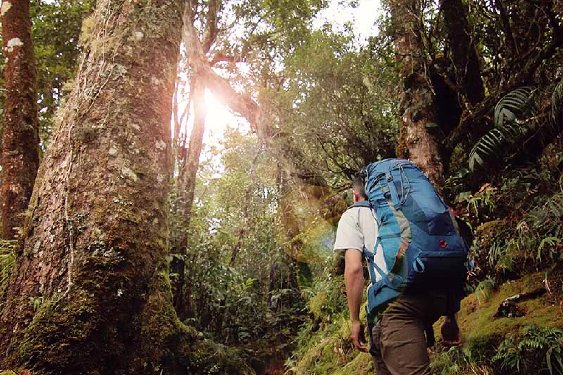 Summit trail