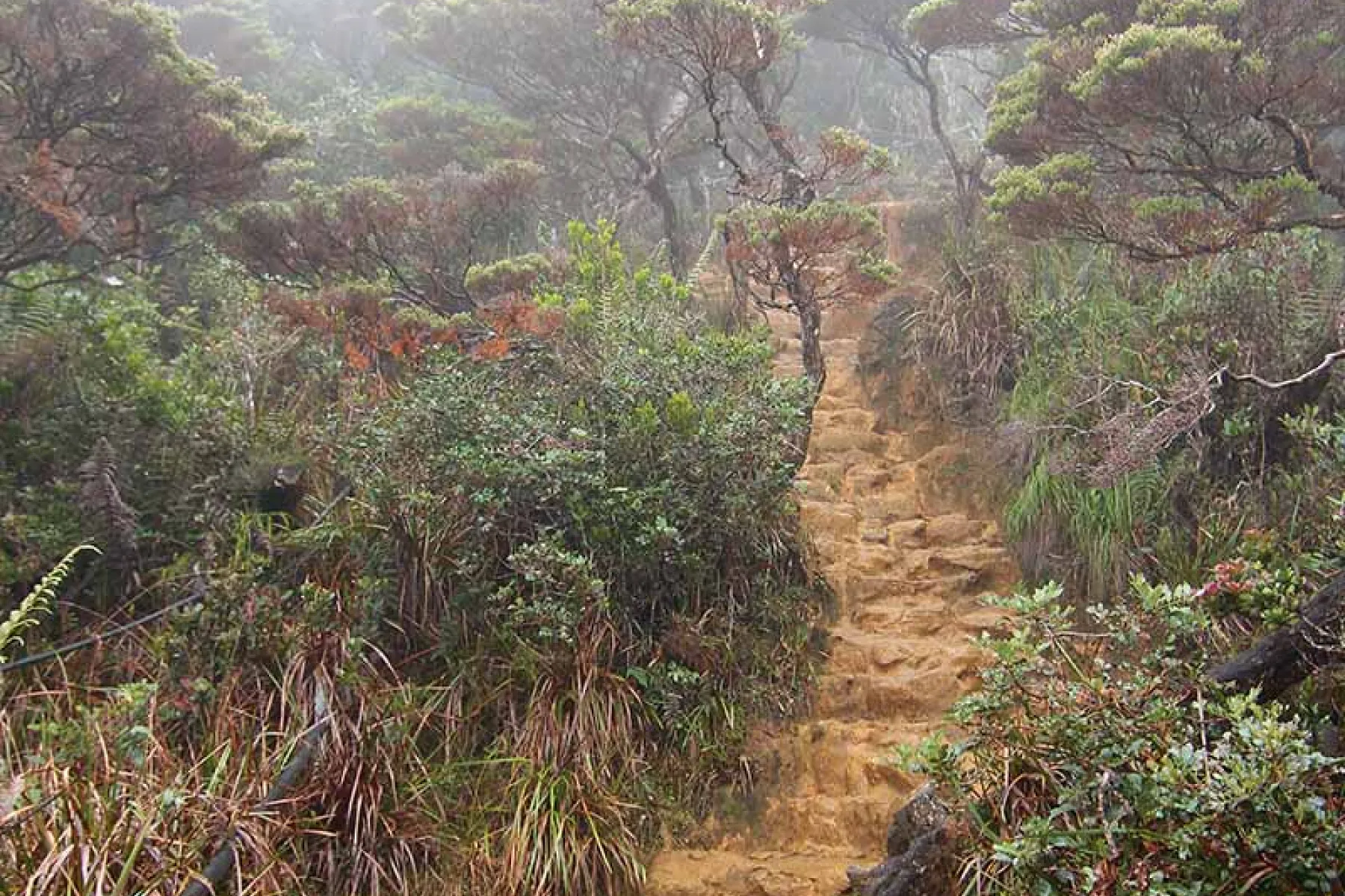 Summit trail