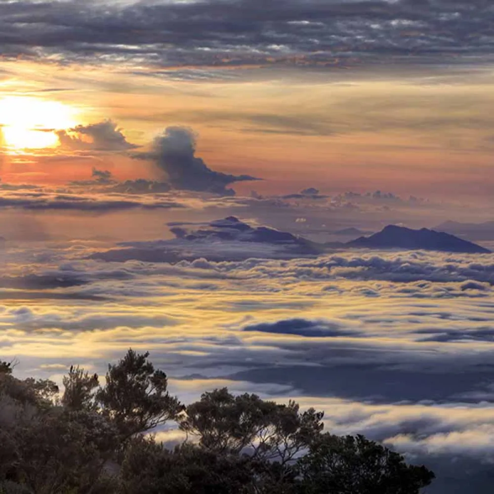 Top Attractions - Kinabalu Park