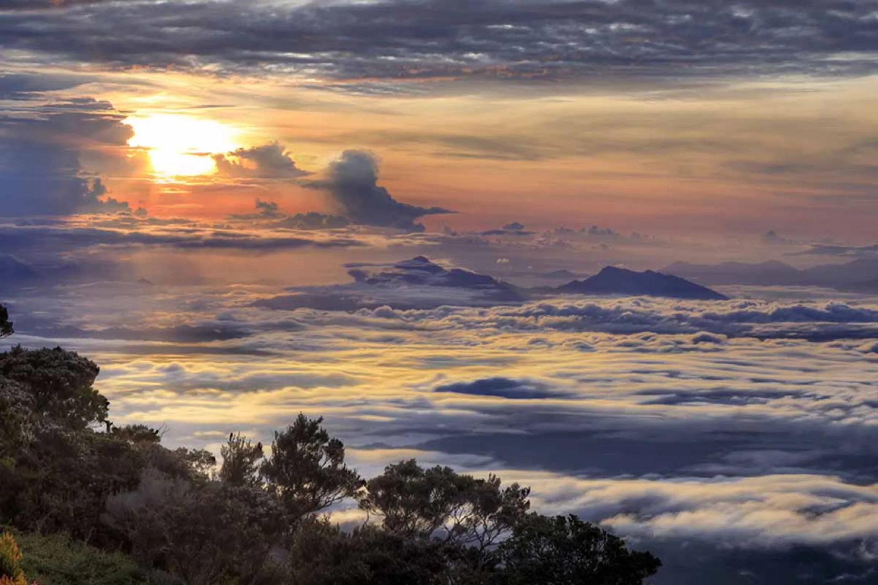 Sunrise