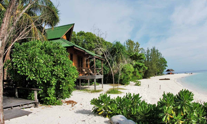 A Little Piece of Paradise