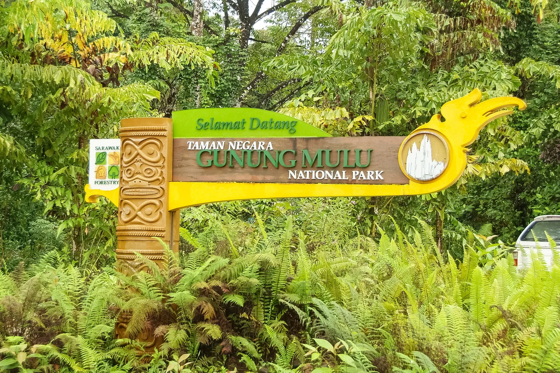 Welcome to Mulu Park