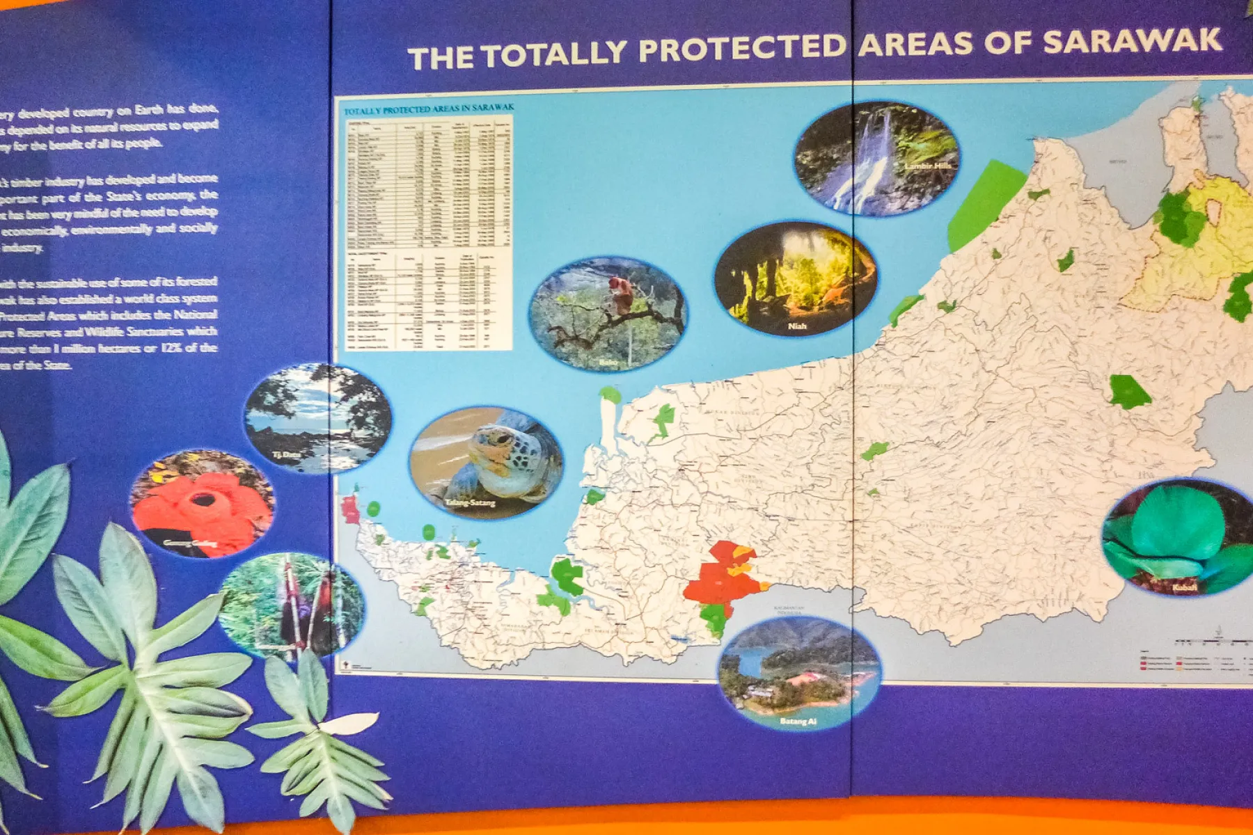 Map of Sarawak