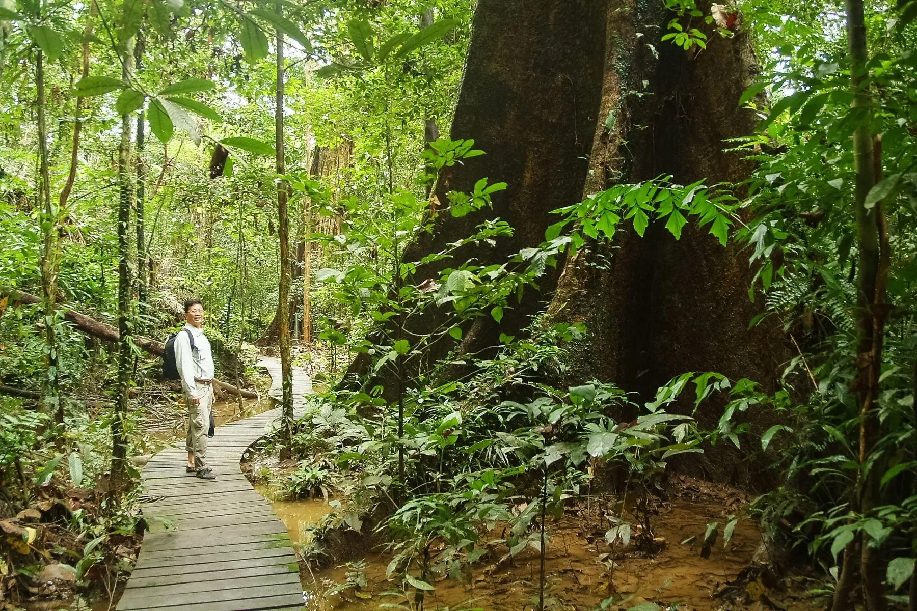 Nature walk