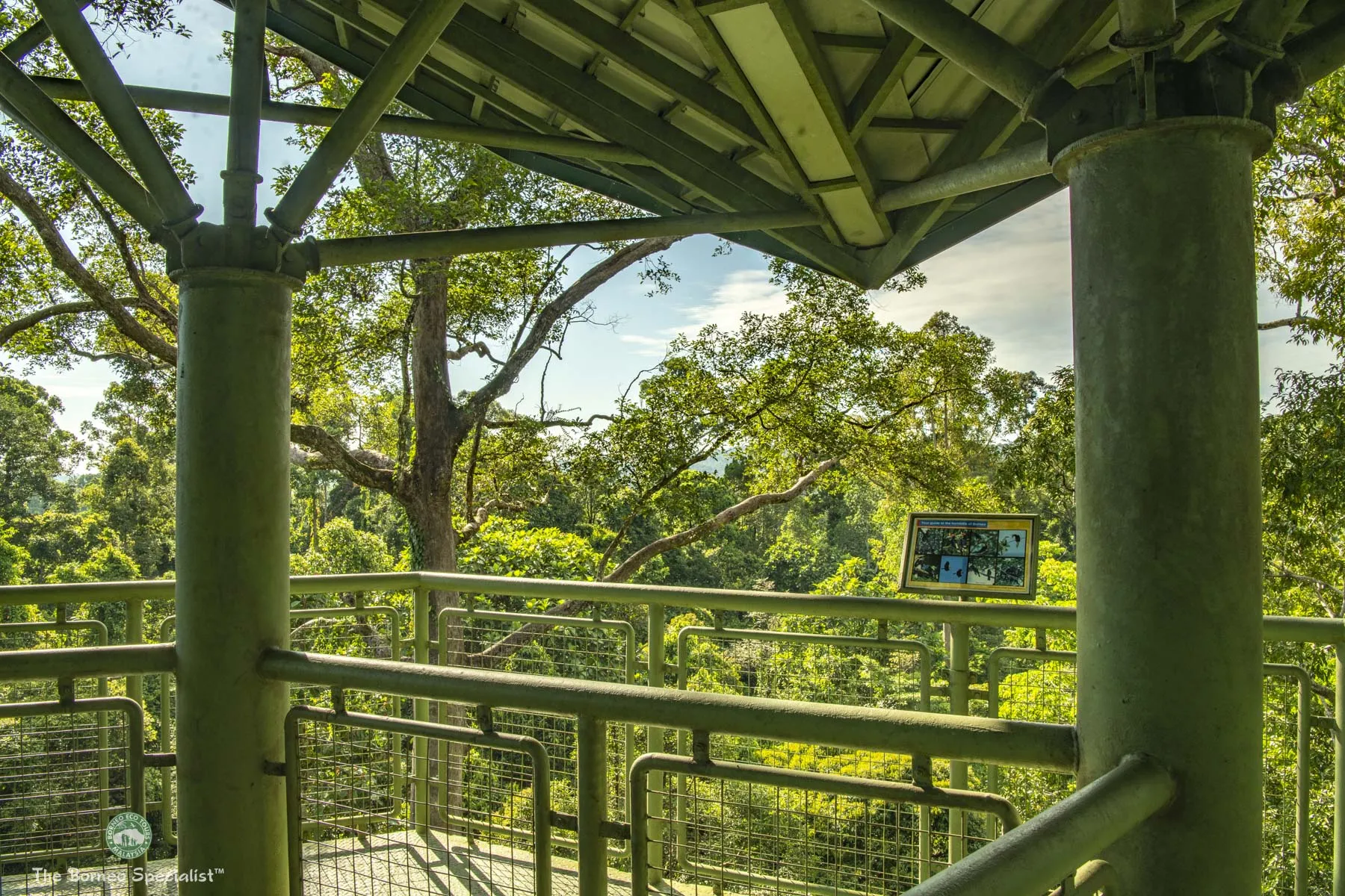 RDC canopy tower