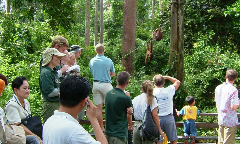 Commendable Conservation