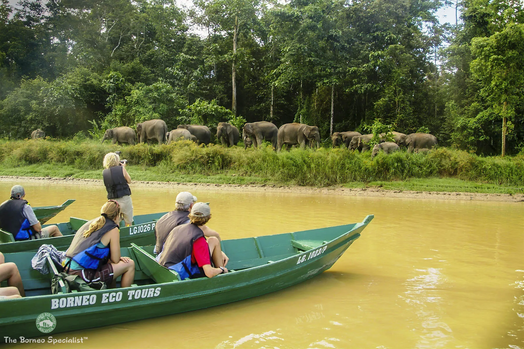 River wildlife tour at Sukau