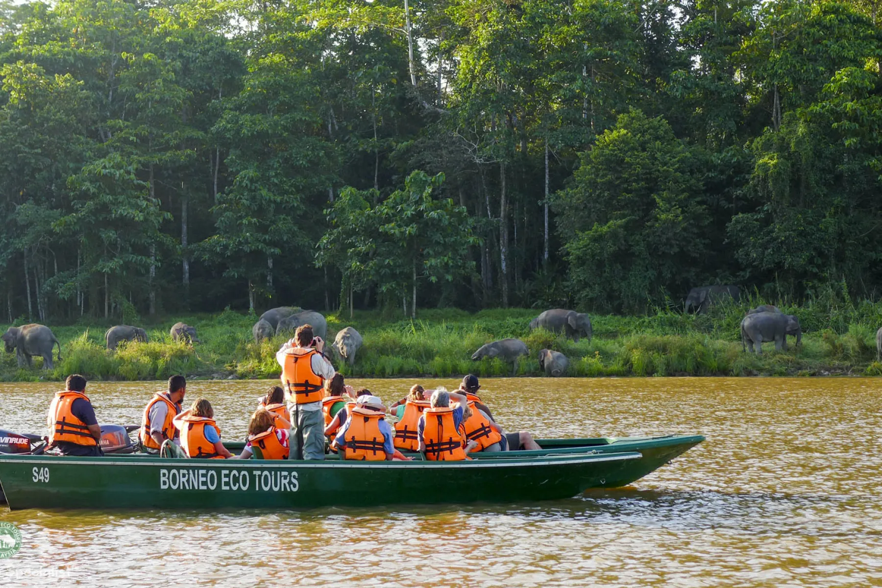 River cruising in Sukau, Kinabatangan