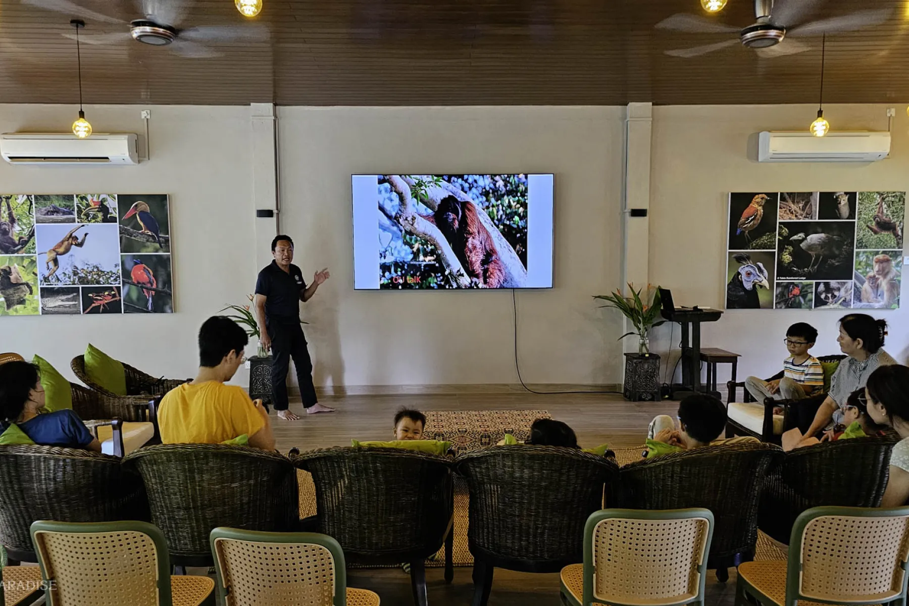 Ape Talk in Sukau Rainforest Lodge