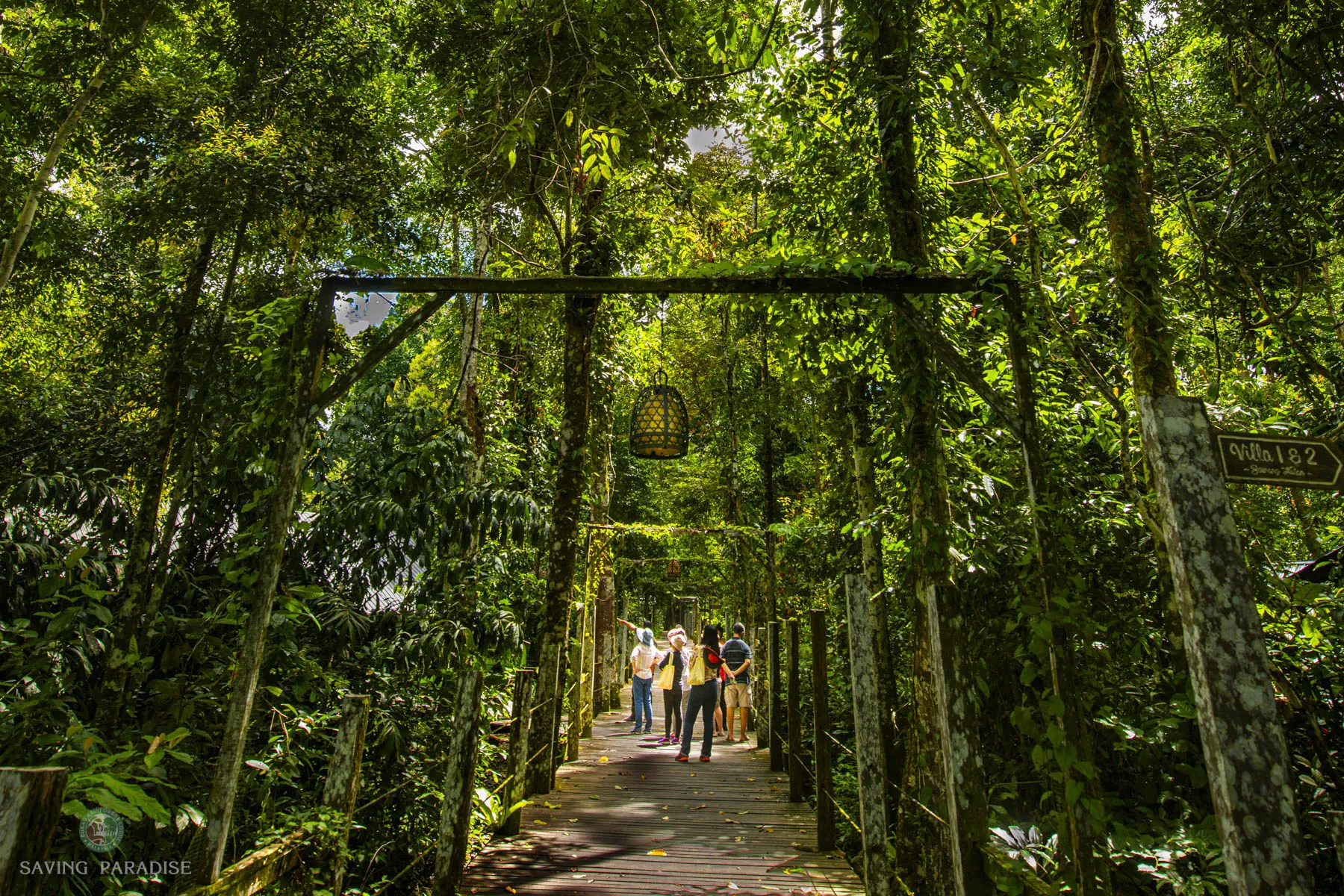 Sir David Attenborough Walkway to Borneo Villa
