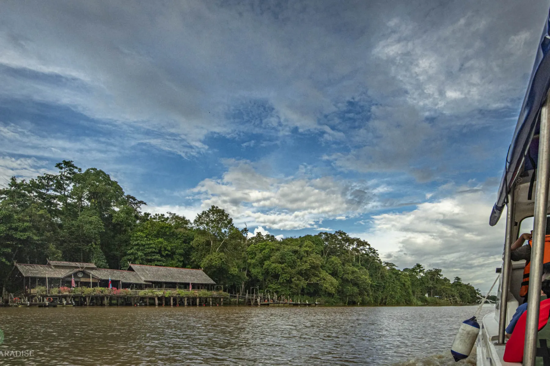 Arrival at Sukau