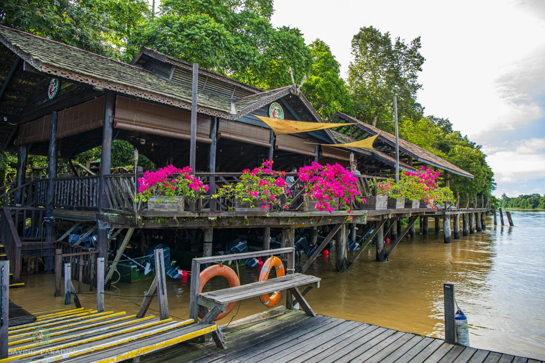 Arrival at Sukau Rainforest lodge