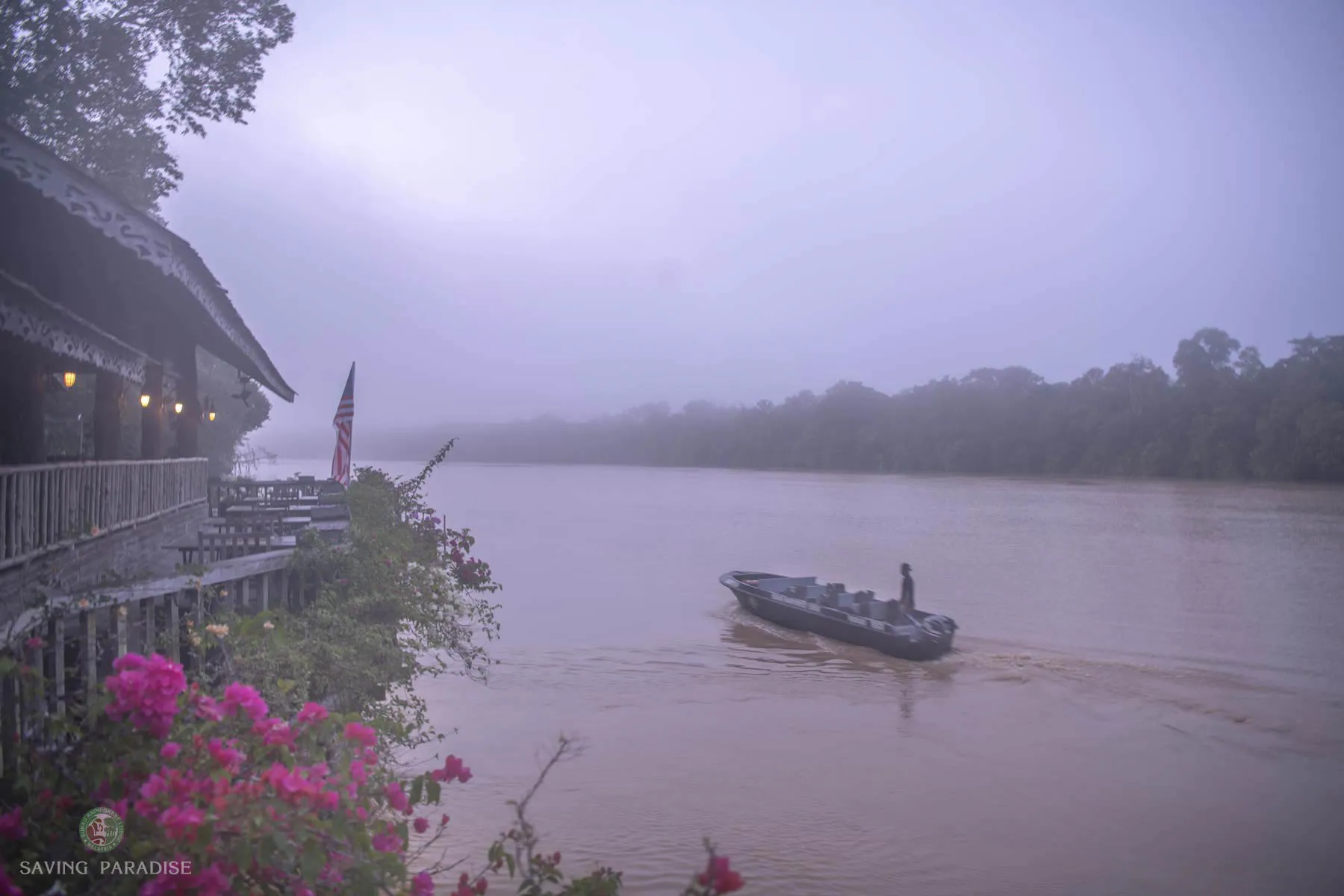 Sukau in the morning mist