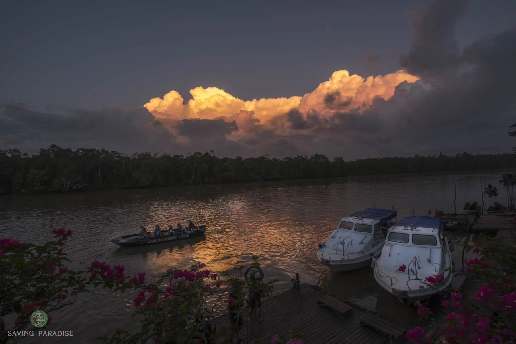 Sunset at Sukau