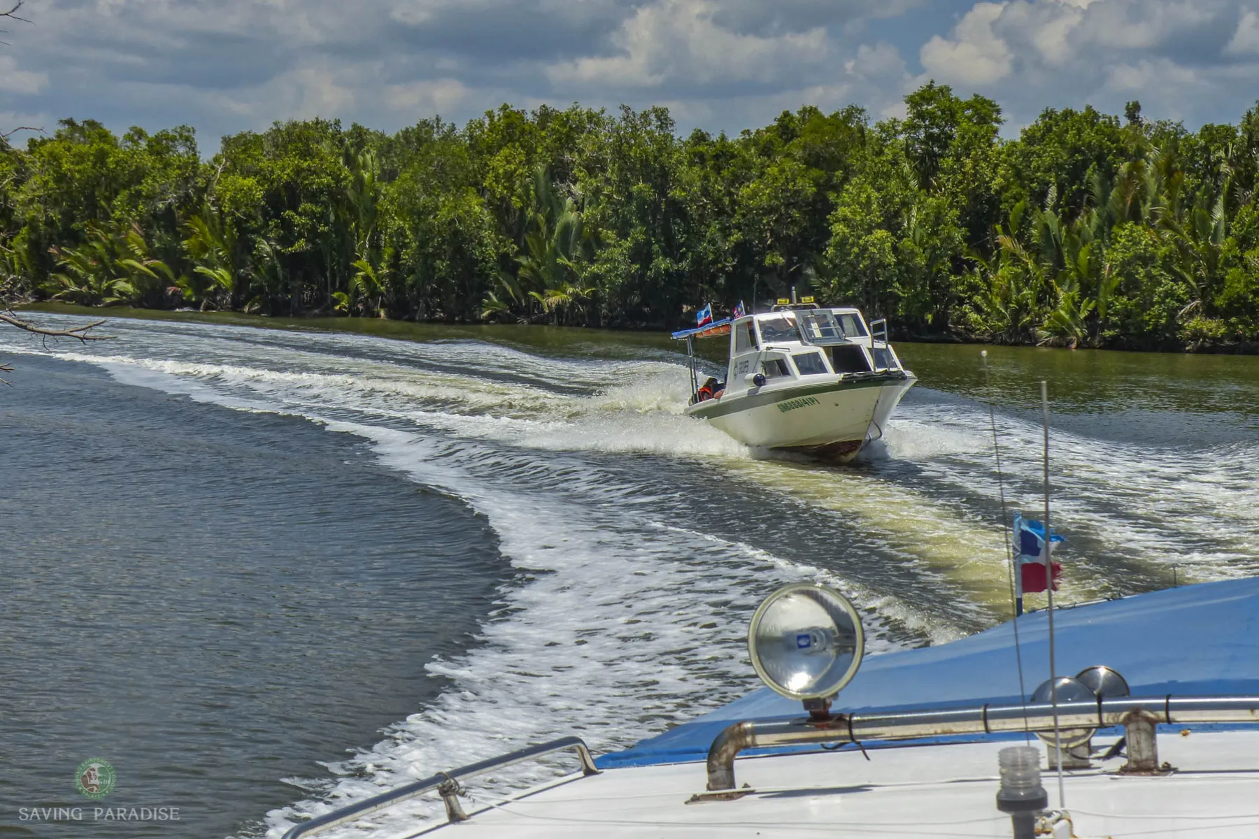 Speed boat through the mangrove forest