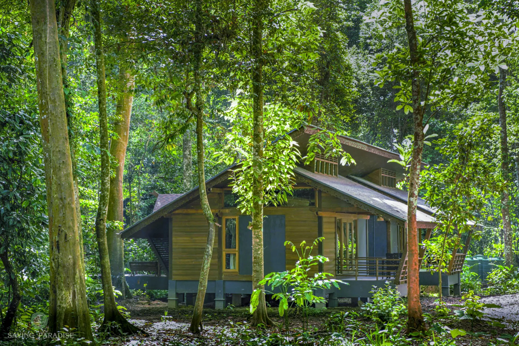Borneo villa