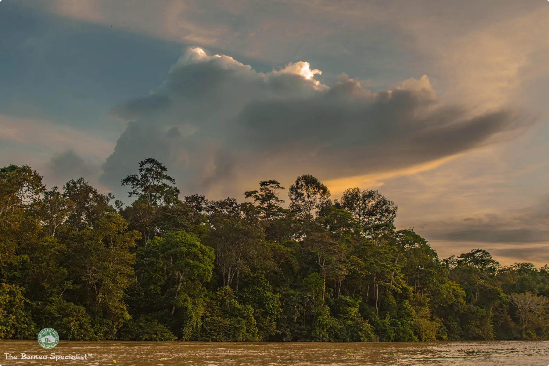 Sukau sunset