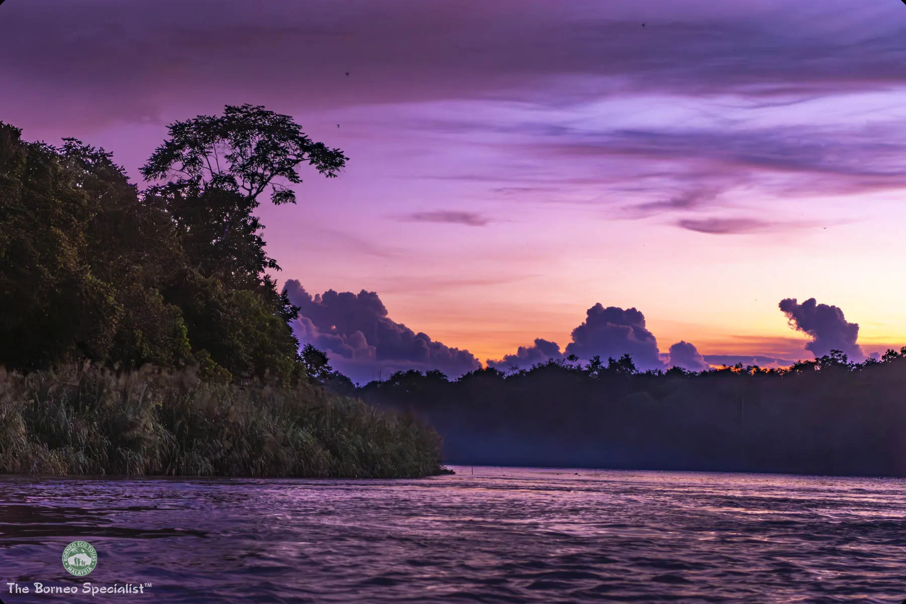 Sunset at Sukau