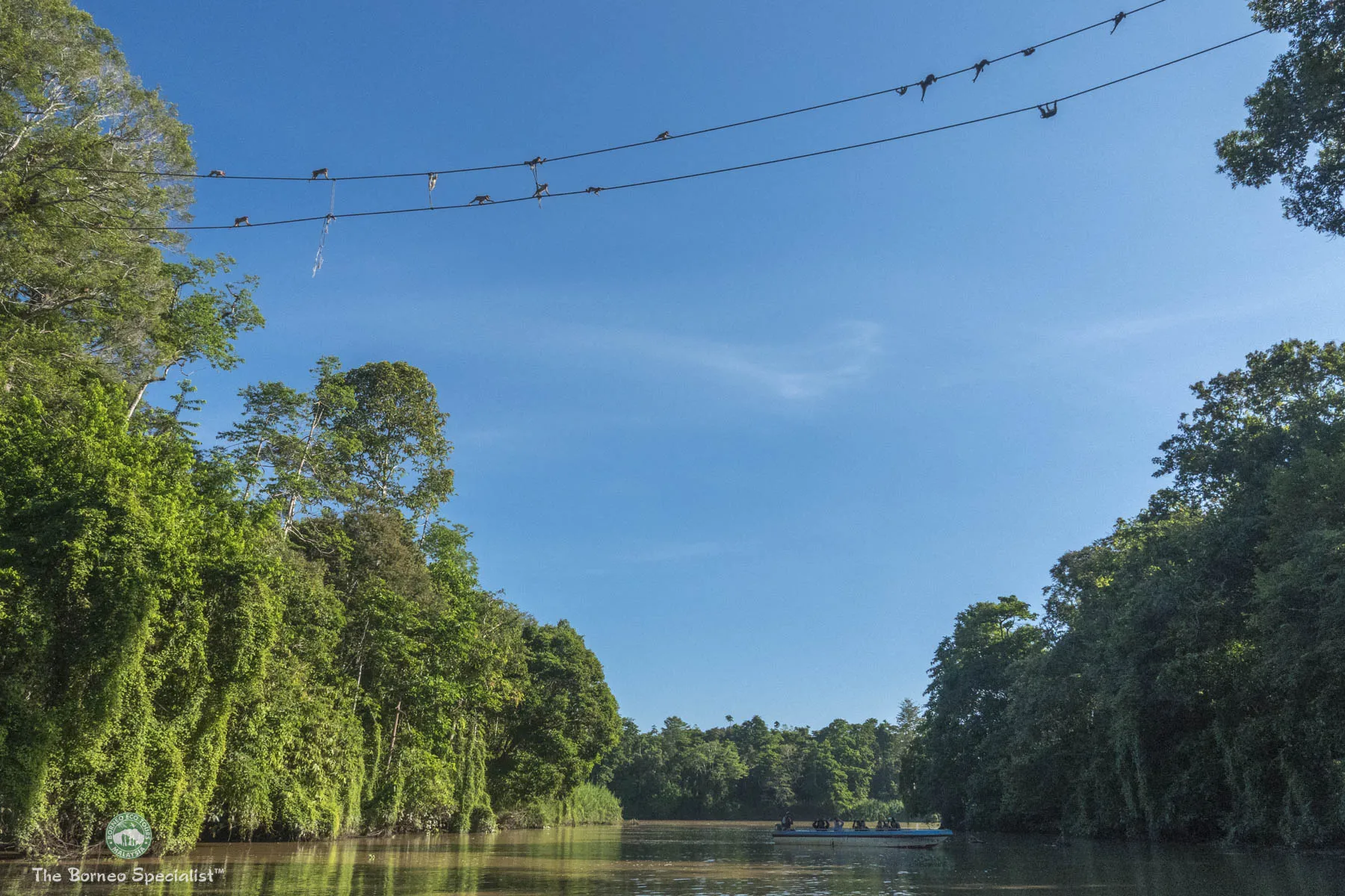 Wildlife river cruise