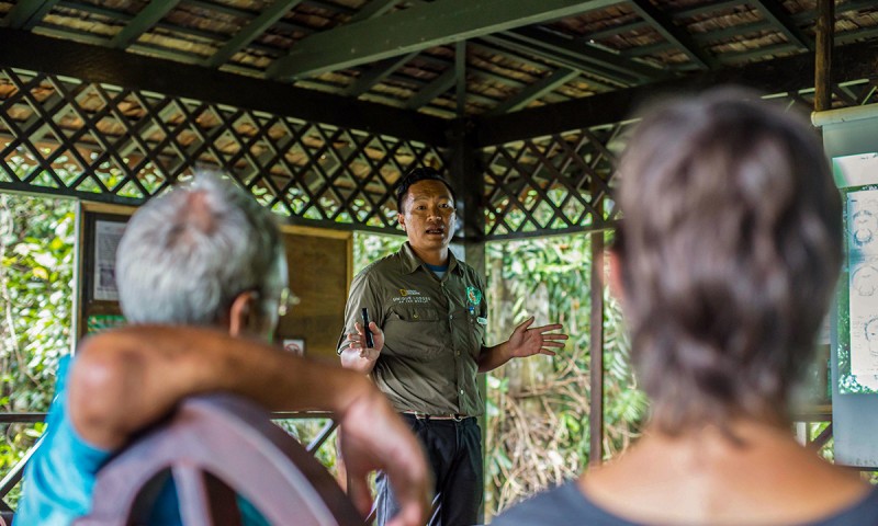 Ape Talk & Guided Nature Walk