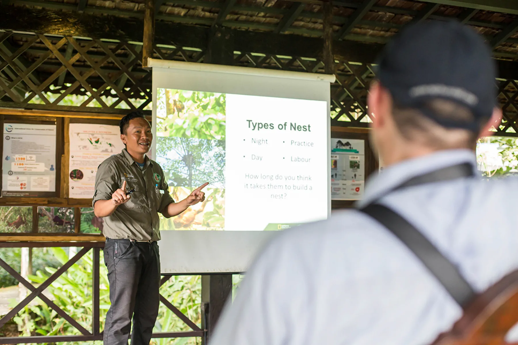 Ape Talk by resident naturalist