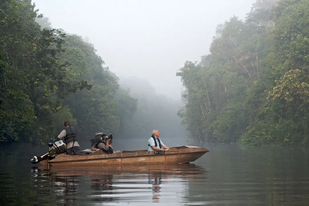 David Attenborough filming at Sukau Rainforesst Lodge