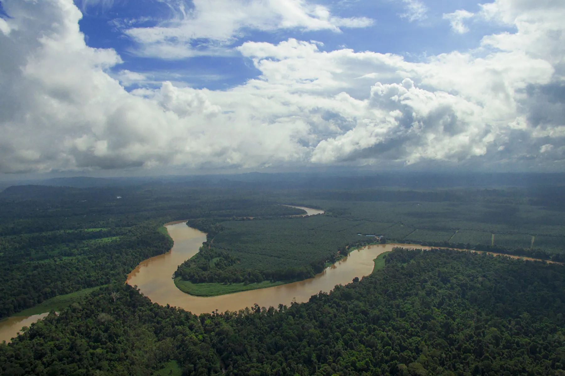 Aerial view of Kinabatangan River
