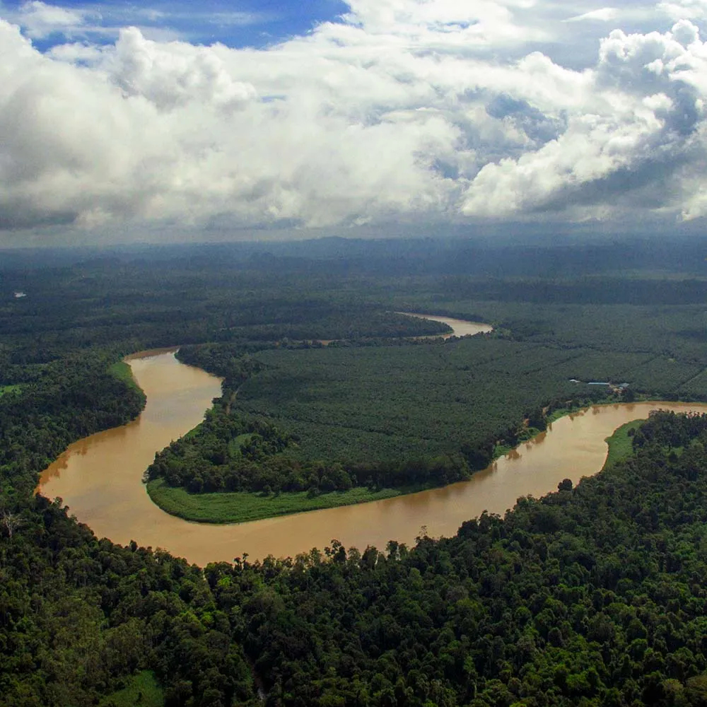 Kinabatangan Wildlife Safari (Overland)